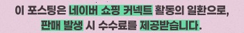 홈앤아트 스팀청소기 AMS-200, 가성비와 성능은?