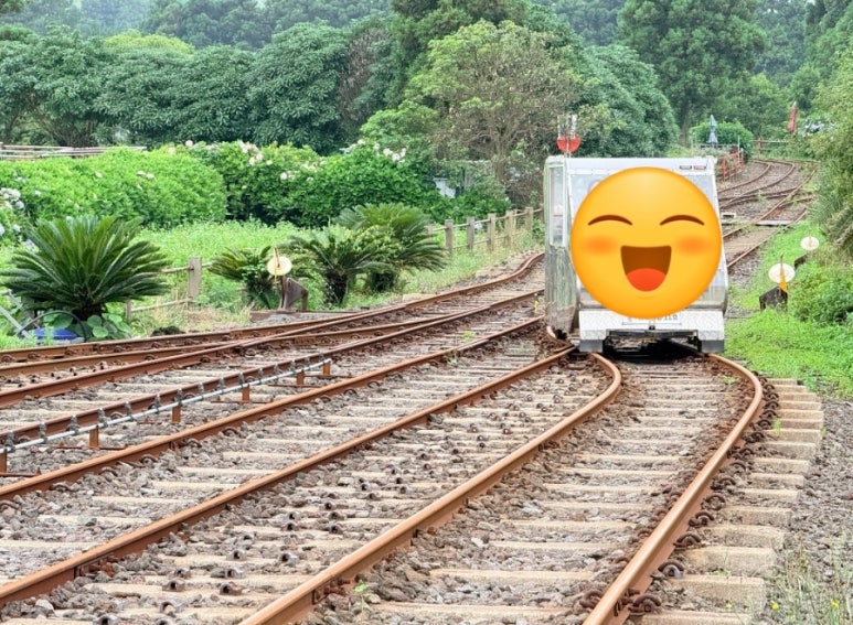 한울타리한우정육식당 사진 7