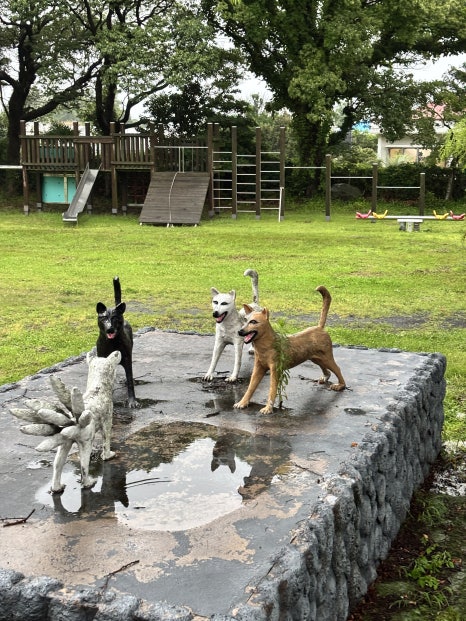 소요제주 사진 2