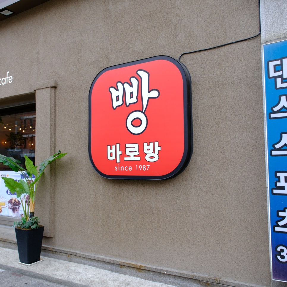 강릉 1박 2일 빵지순례 코스: 바로방, 강릉이래요, 강릉당 추천 — 여행 사진