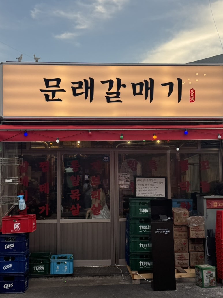 문래갈매기 사진 8