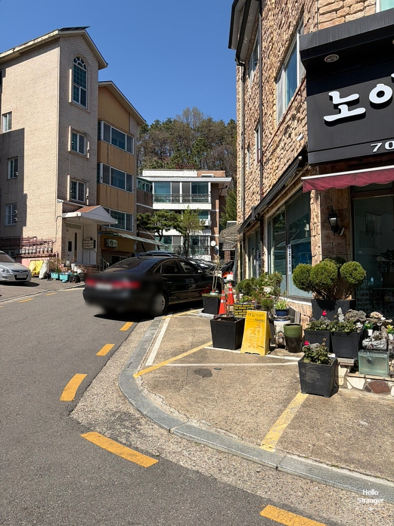 노아노아 사진 7