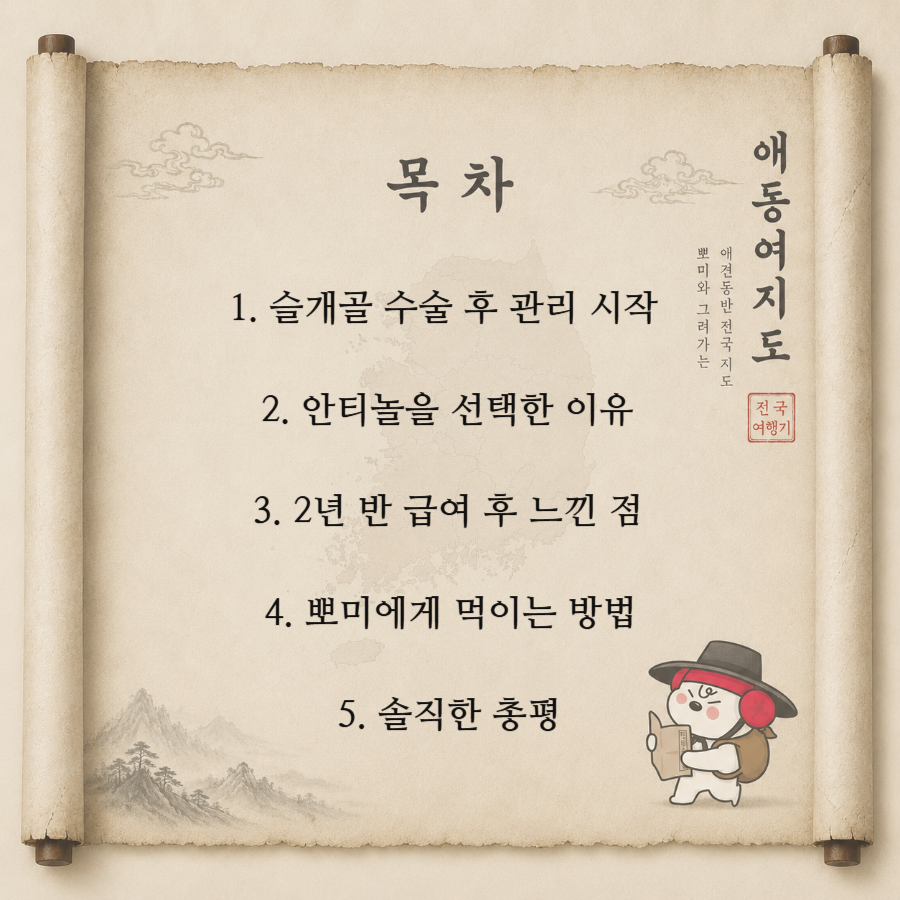 강아지 슬개골 수술 후 관절 영양제 래피드 2년 반 급여 후기