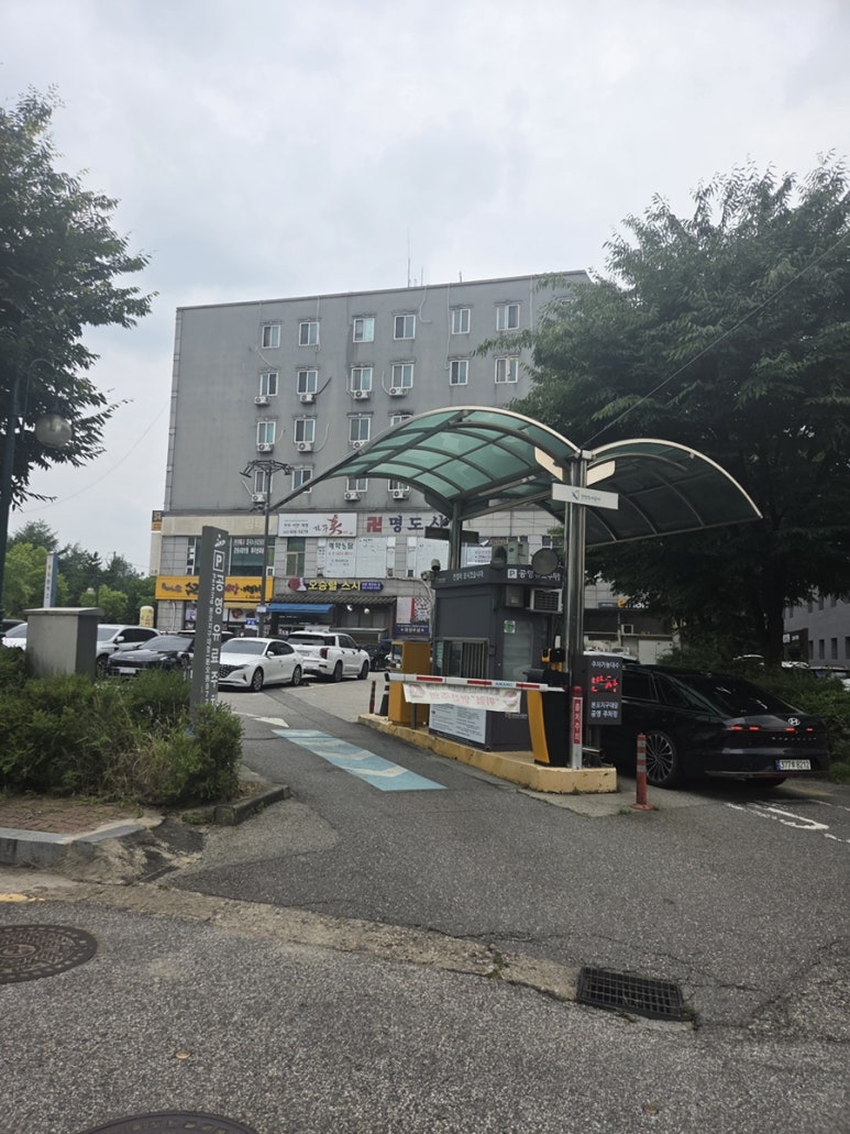 수라면가 사진 5