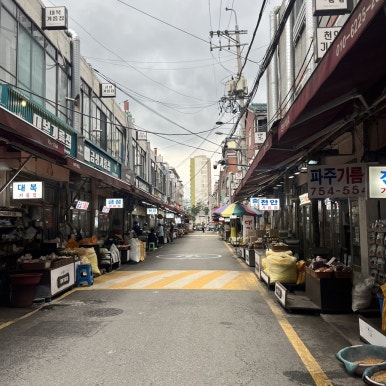 란이네 사진 7