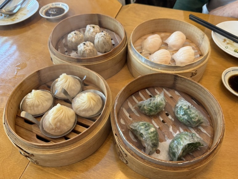제제 사진 7