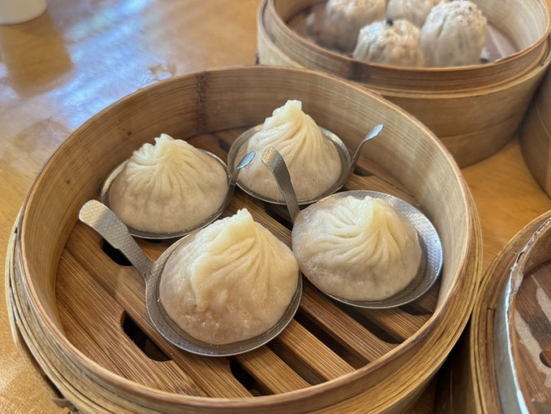 제제 사진 6