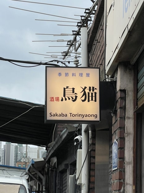 토리냥 사진 7