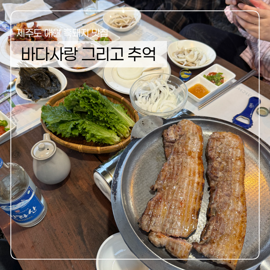 바다사랑그리고추억 사진 6