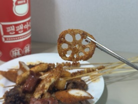 팬팬마라 사진 5