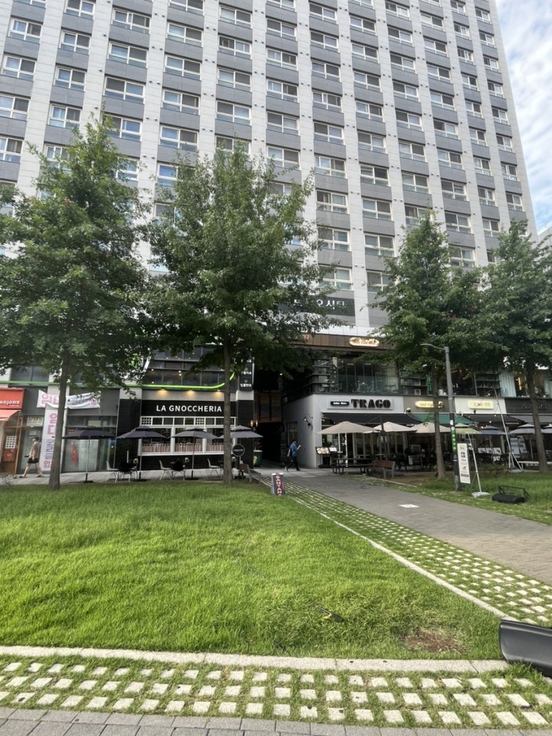 바드 사진 7