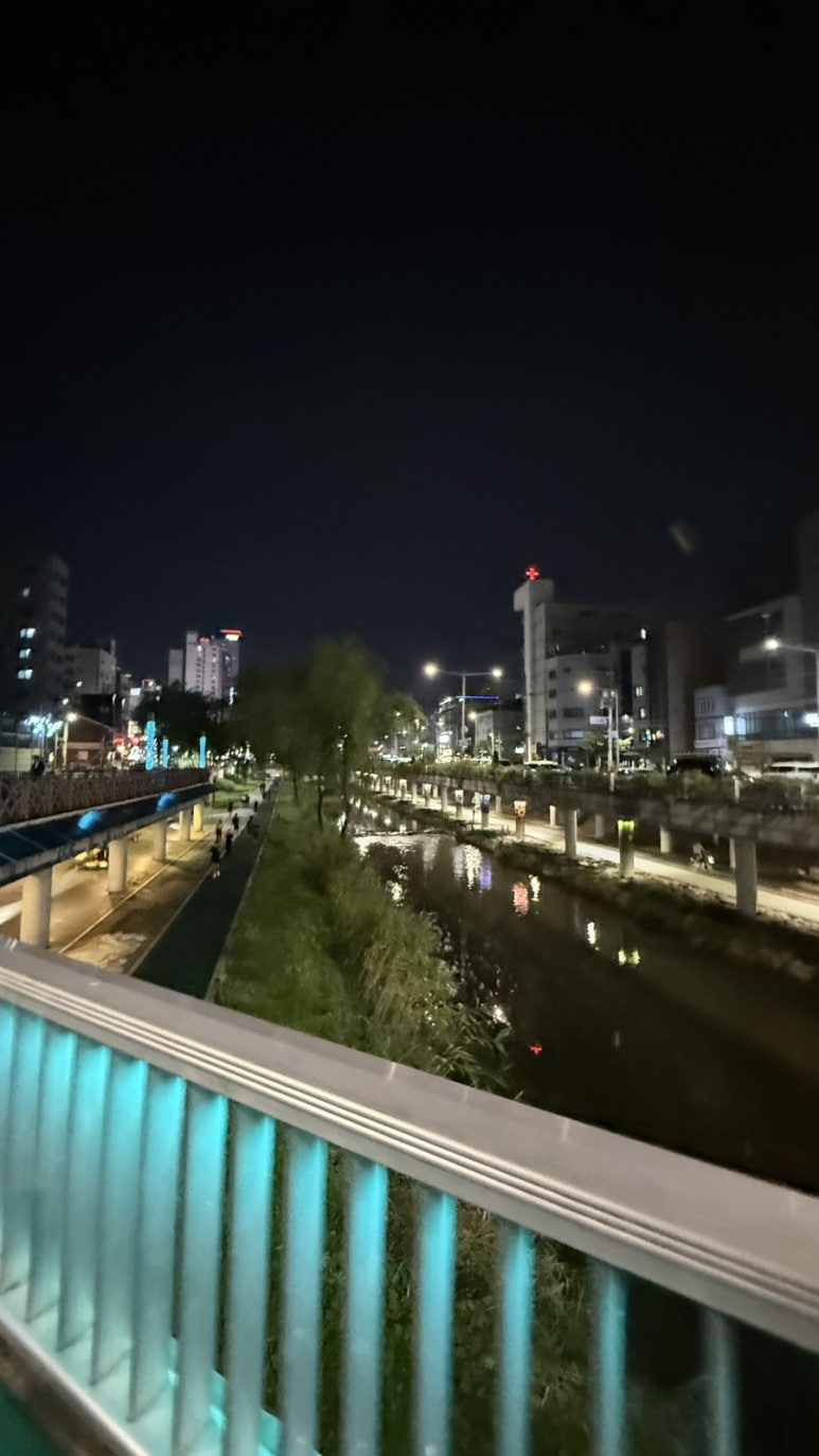 한방구이닭 사진 4