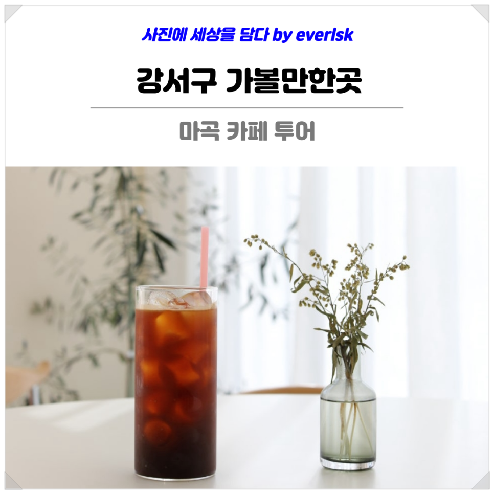 카페가토 사진 3