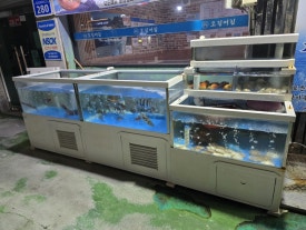 오징어집 사진 2