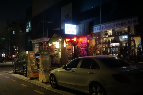 츠바키 사진 2