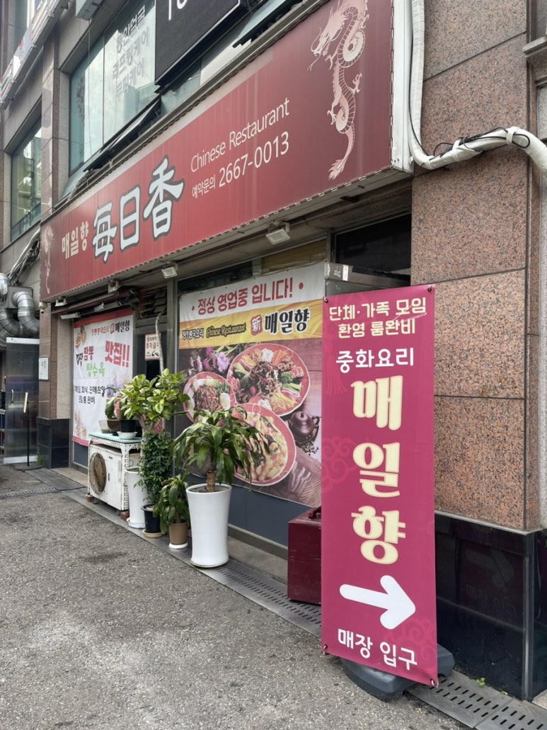 매일향 사진