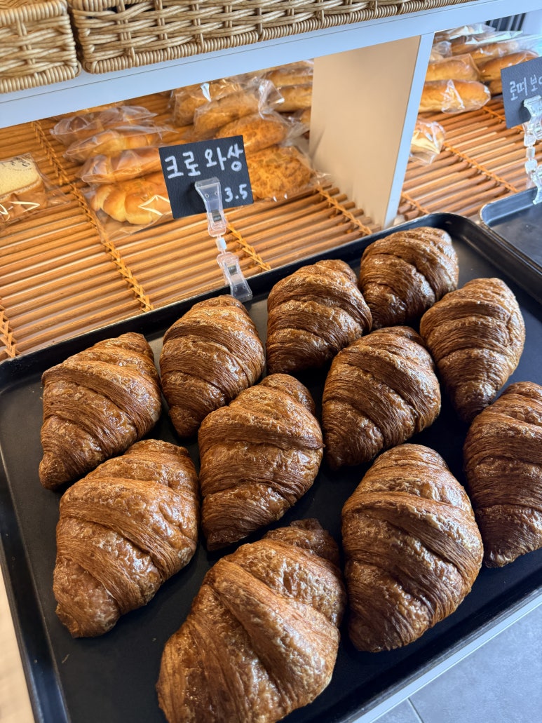 오늘빵집 사진 7