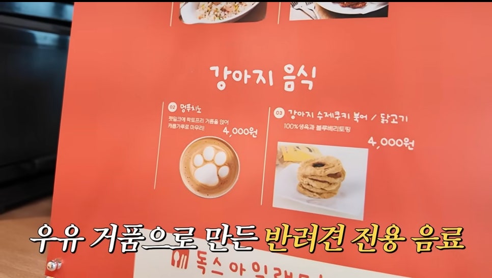 강남 애견카페 독스아일랜드 논현점, 넓은 공간과 전문 케어 — 사진 7