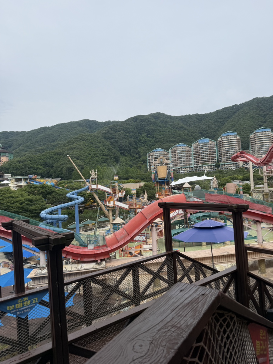 샤브올데이 서울자양점 사진 8