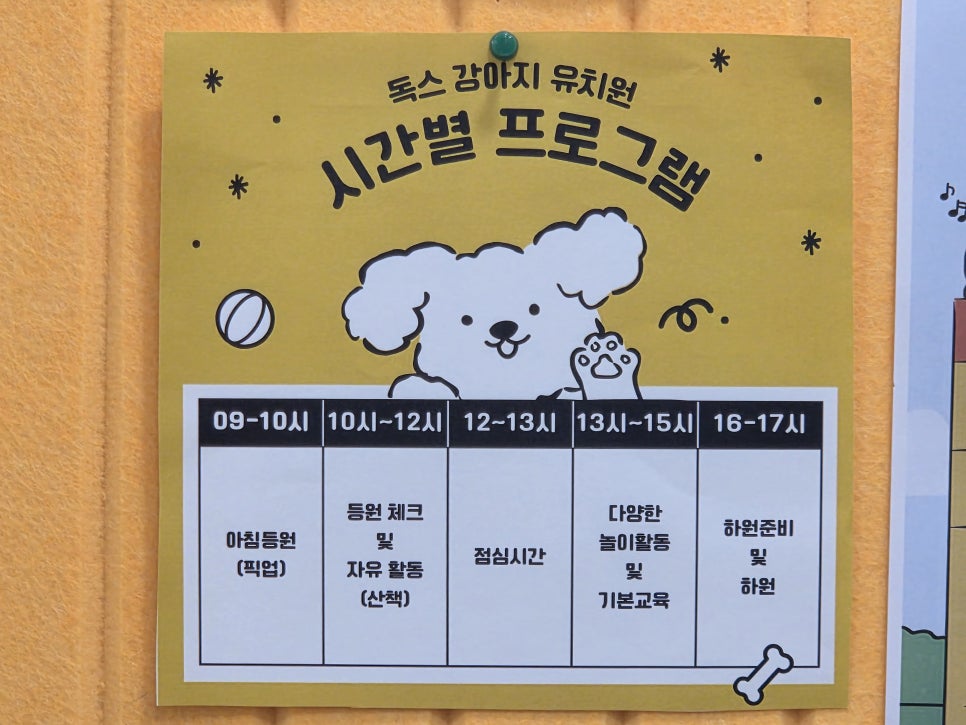 강남 애견카페 독스아일랜드 논현점, 넓은 공간과 전문 케어 — 사진 9