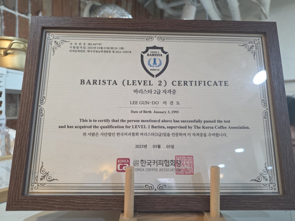 강남 애견카페 독스아일랜드 논현점, 넓은 공간과 전문 케어 — 사진 6