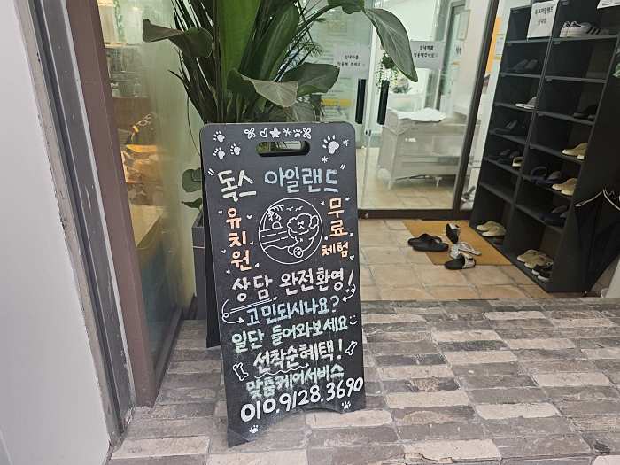 강남 애견카페 독스아일랜드 논현점, 넓은 공간과 전문 케어 — 사진 11