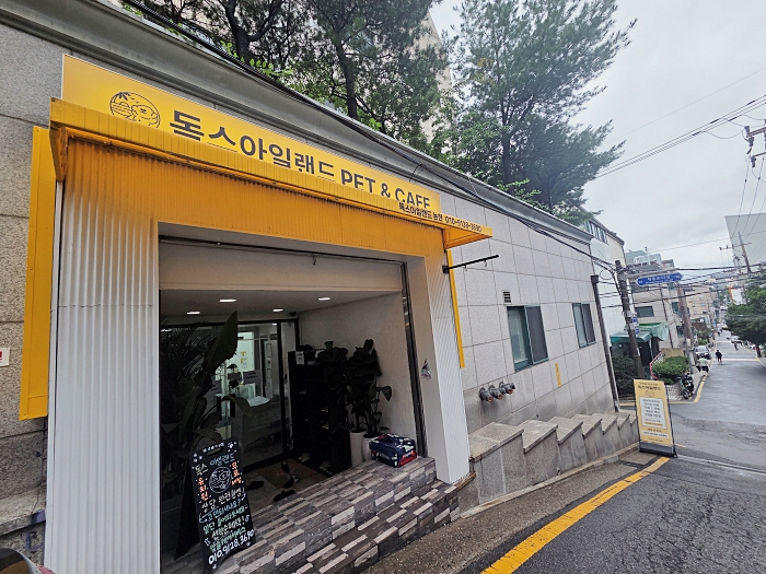 강남 애견카페 독스아일랜드 논현점, 넓은 공간과 전문 케어 — 사진 16