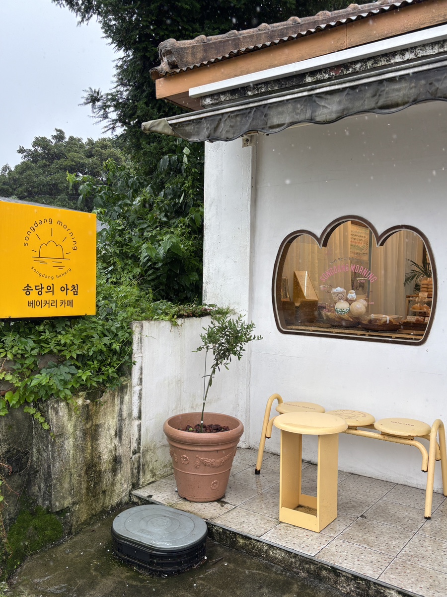 송당의 아침 사진 2