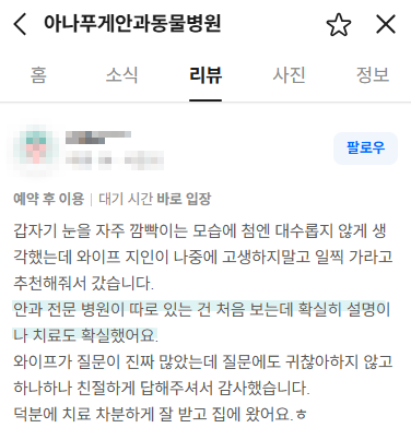 광주 아나푸게 동물병원, 강아지 안과 질환 조기 발견 중요성 — 사진 2
