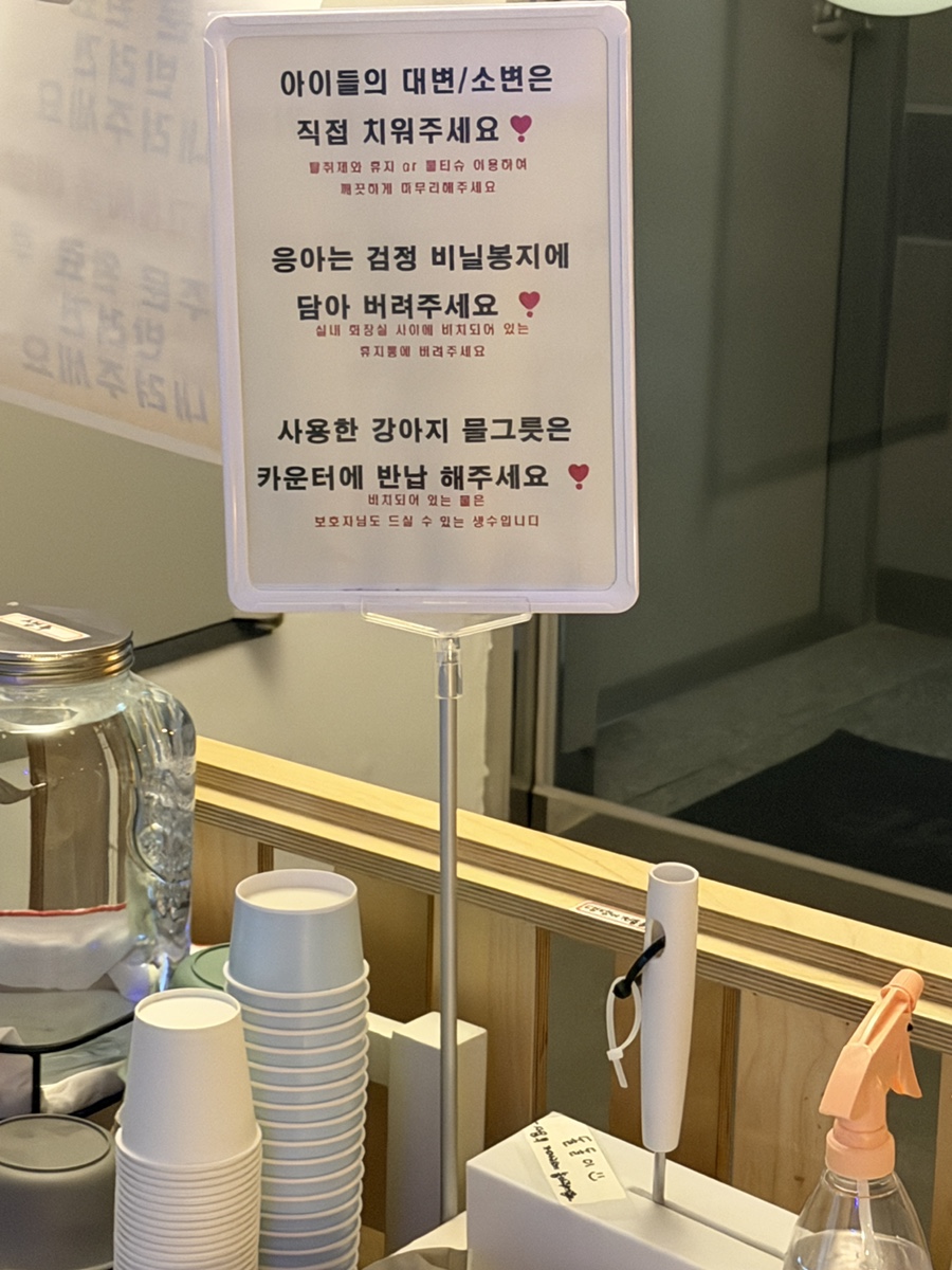 일산 테일더블루, 비 오는 날 가기 좋은 실내 애견카페 추천 — 사진 18