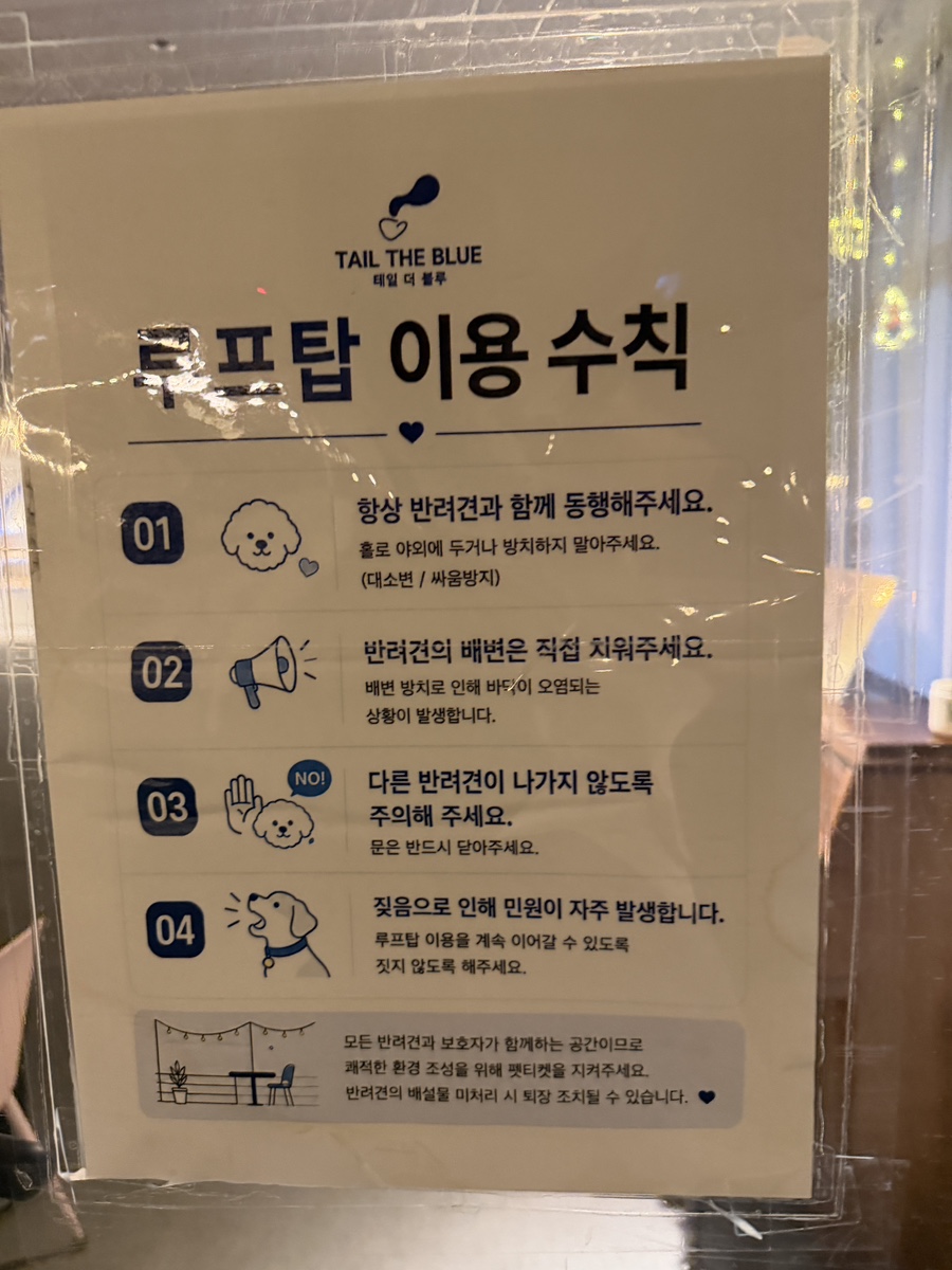 일산 테일더블루, 비 오는 날 가기 좋은 실내 애견카페 추천 — 사진 14