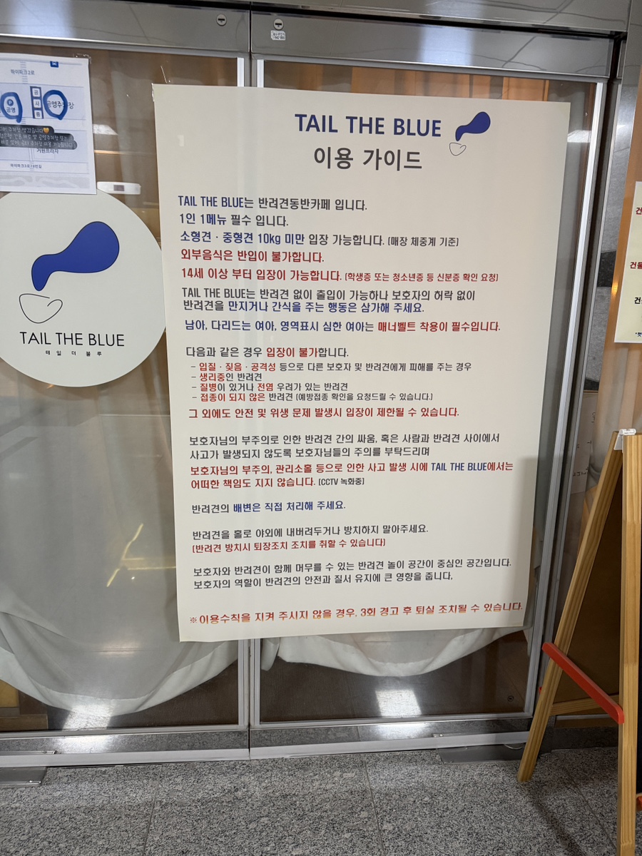 일산 테일더블루, 비 오는 날 가기 좋은 실내 애견카페 추천 — 사진 2