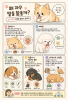 강아지 발사탕, 단순 습관일까? 원인과 관리법 — 사진 3