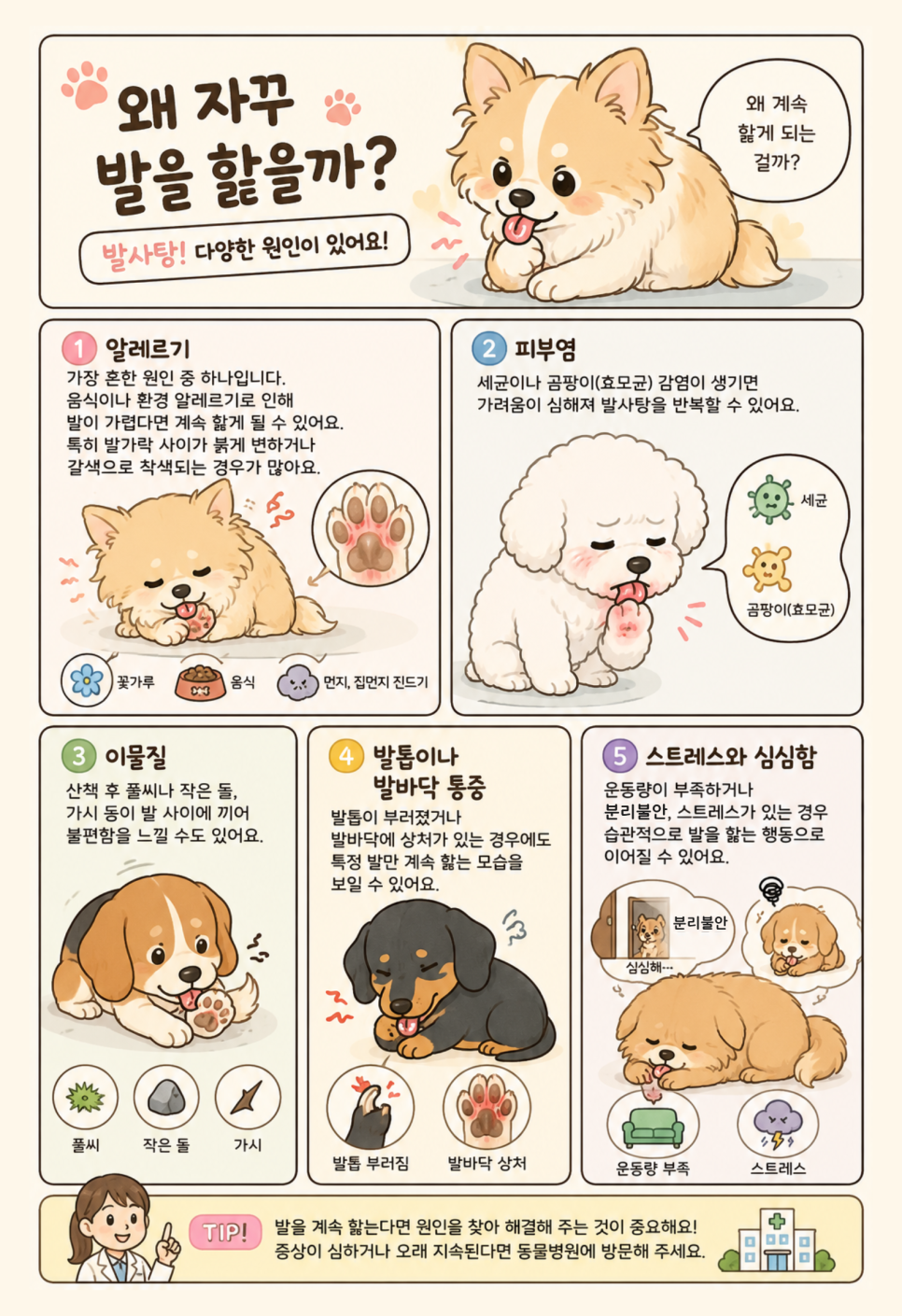 강아지 발사탕, 단순 습관일까? 원인과 관리법 — 사진 3