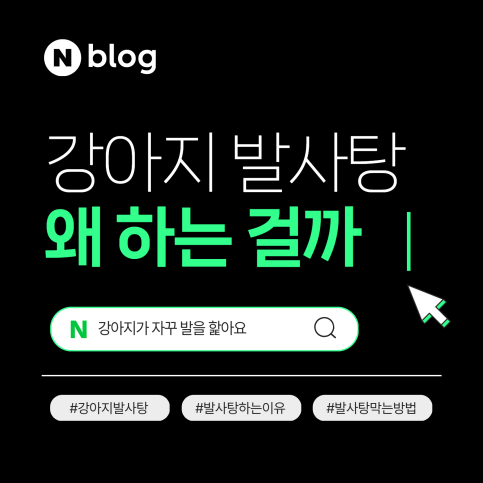 강아지 발사탕, 단순 습관일까? 원인과 관리법