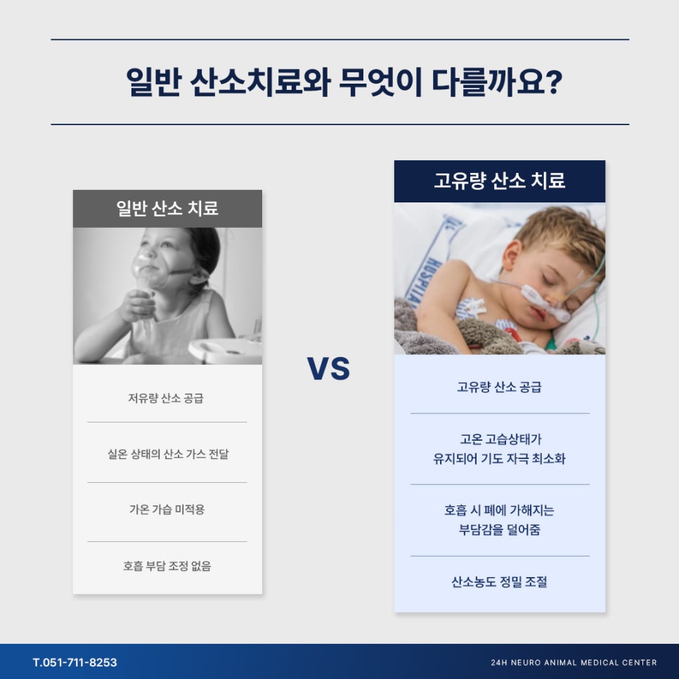 강아지 고유량 산소치료, HFNC로 호흡곤란 응급 회복 — 사진 4