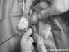 용인 24시 블레스동물병원, 강아지 십자인대파열 TPLO 수술 후기 — 사진 12