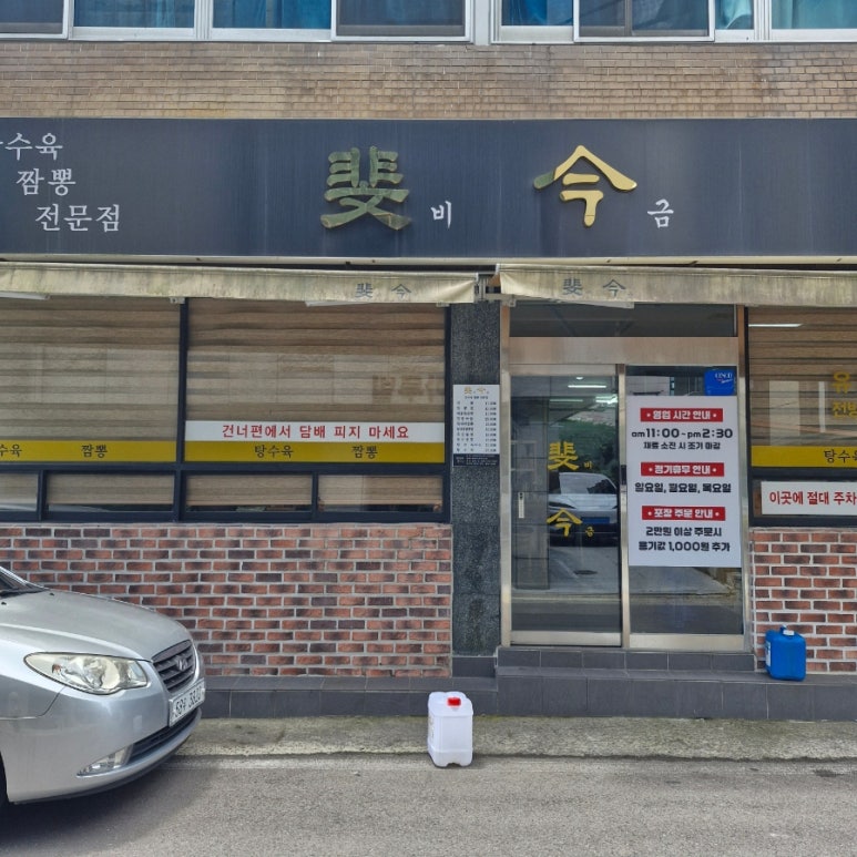비금 사진