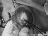용인 24시 블레스동물병원, 강아지 십자인대파열 TPLO 수술 후기 — 사진 10