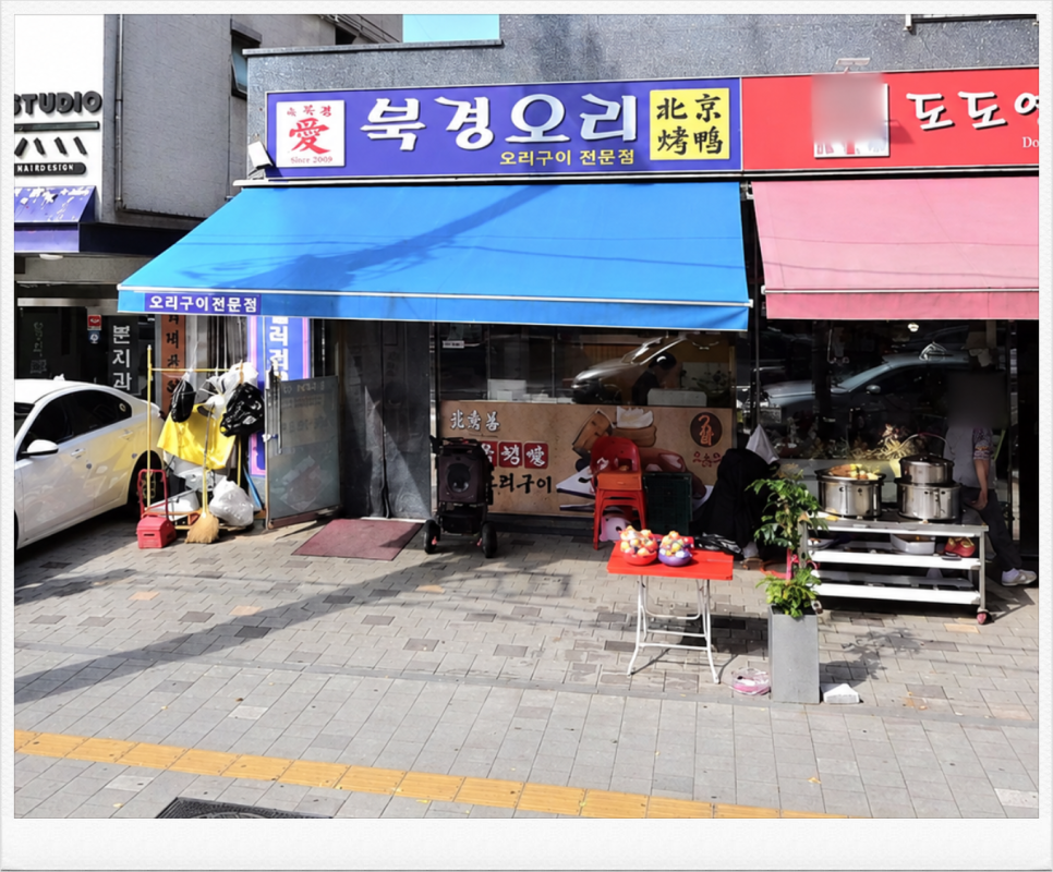 북경오리 사진 2