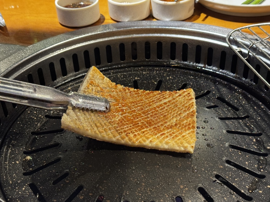 노란돼지 사진 7