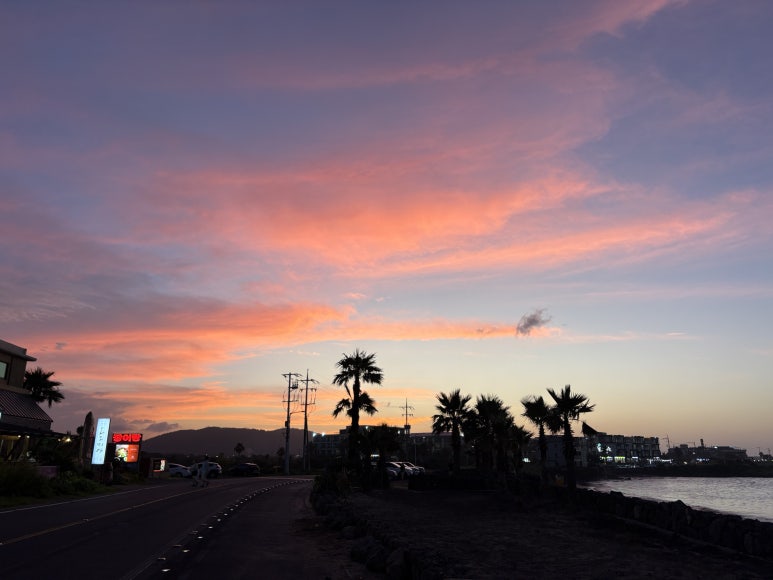 수킹 사진 3