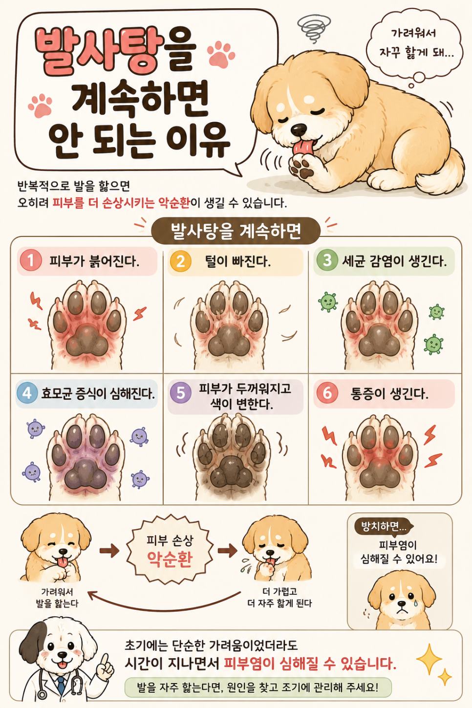 강아지 발사탕, 단순 습관일까? 원인과 관리법 — 사진 4