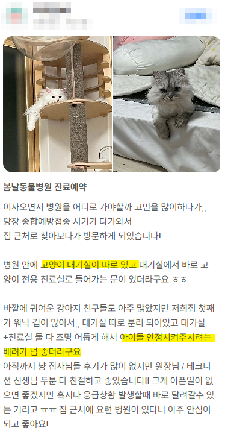 7살 강아지 잇몸 부음, 마취 스케일링 후기 — 사진 4
