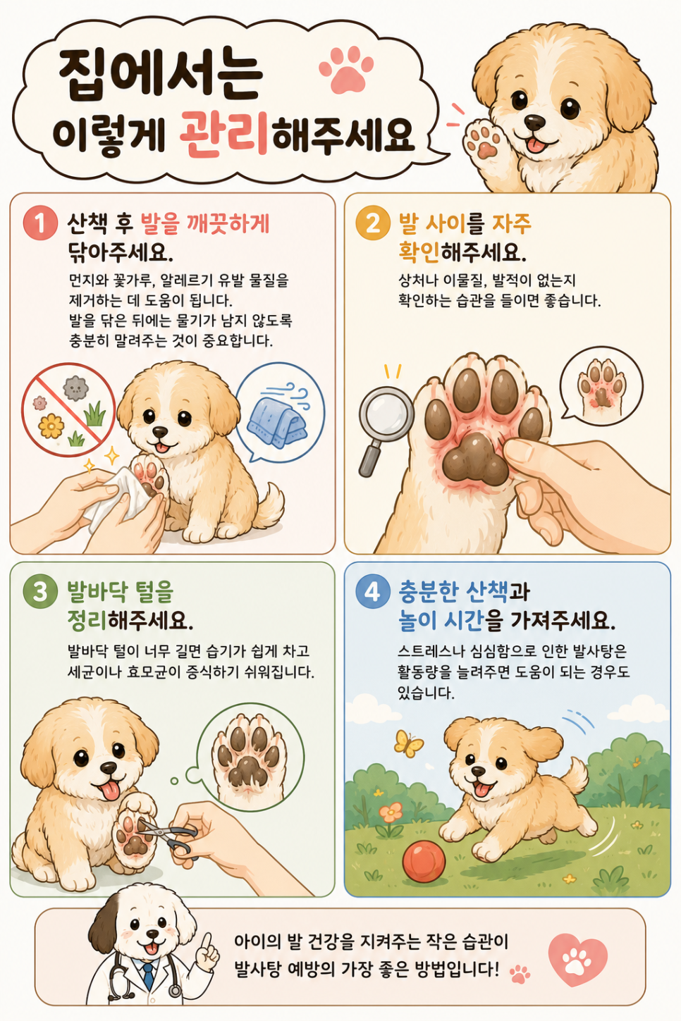 강아지 발사탕, 단순 습관일까? 원인과 관리법 — 사진 5
