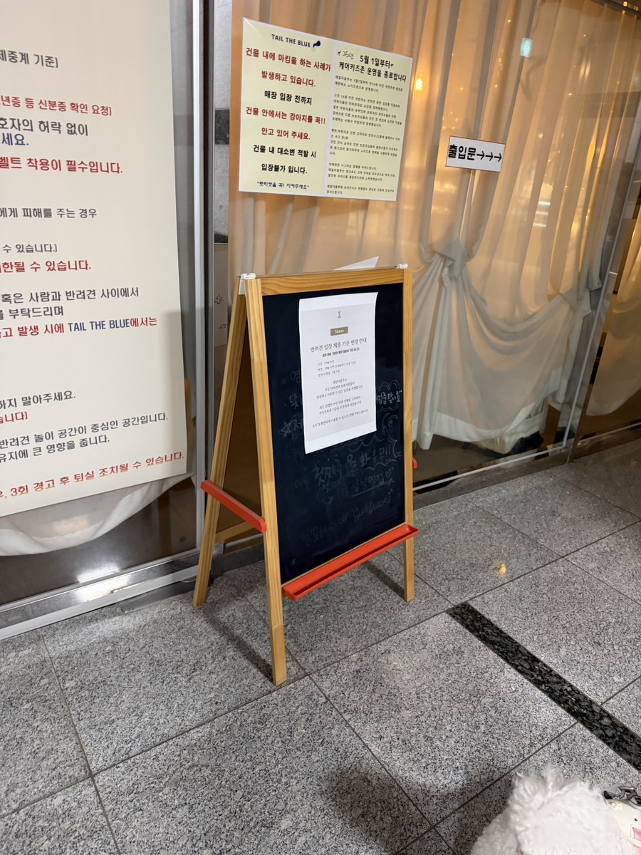 일산 테일더블루, 비 오는 날 가기 좋은 실내 애견카페 추천 — 사진 3