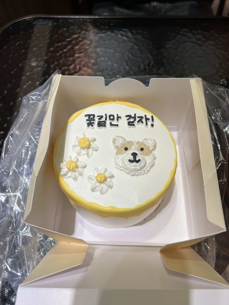 눌케이크 사진 6