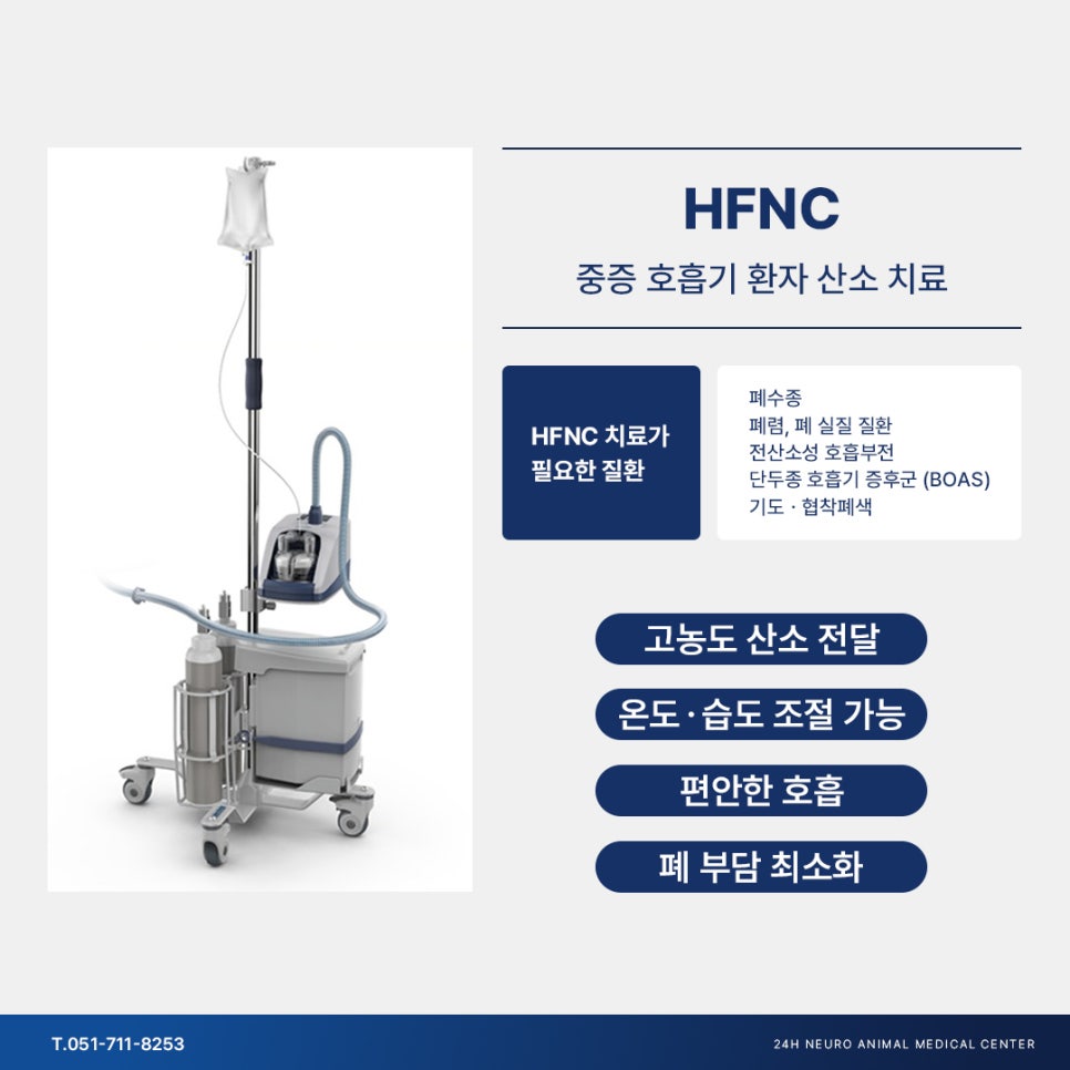 강아지 고유량 산소치료, HFNC로 호흡곤란 응급 회복 — 사진 3