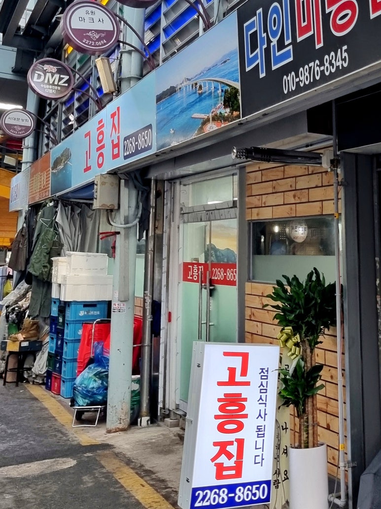 고흥집 사진 5
