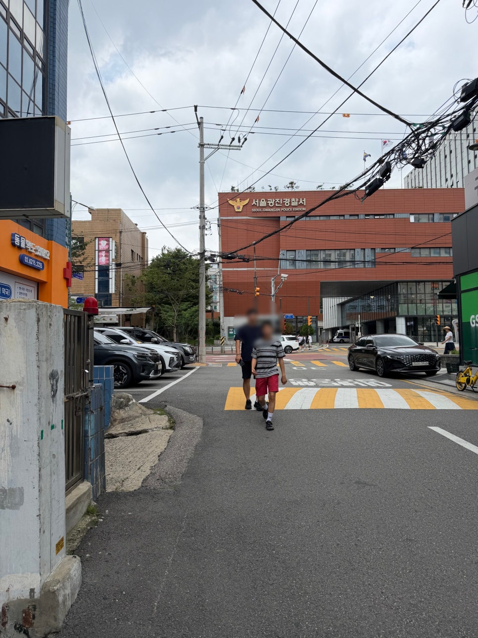딜란스쿠키 사진 2